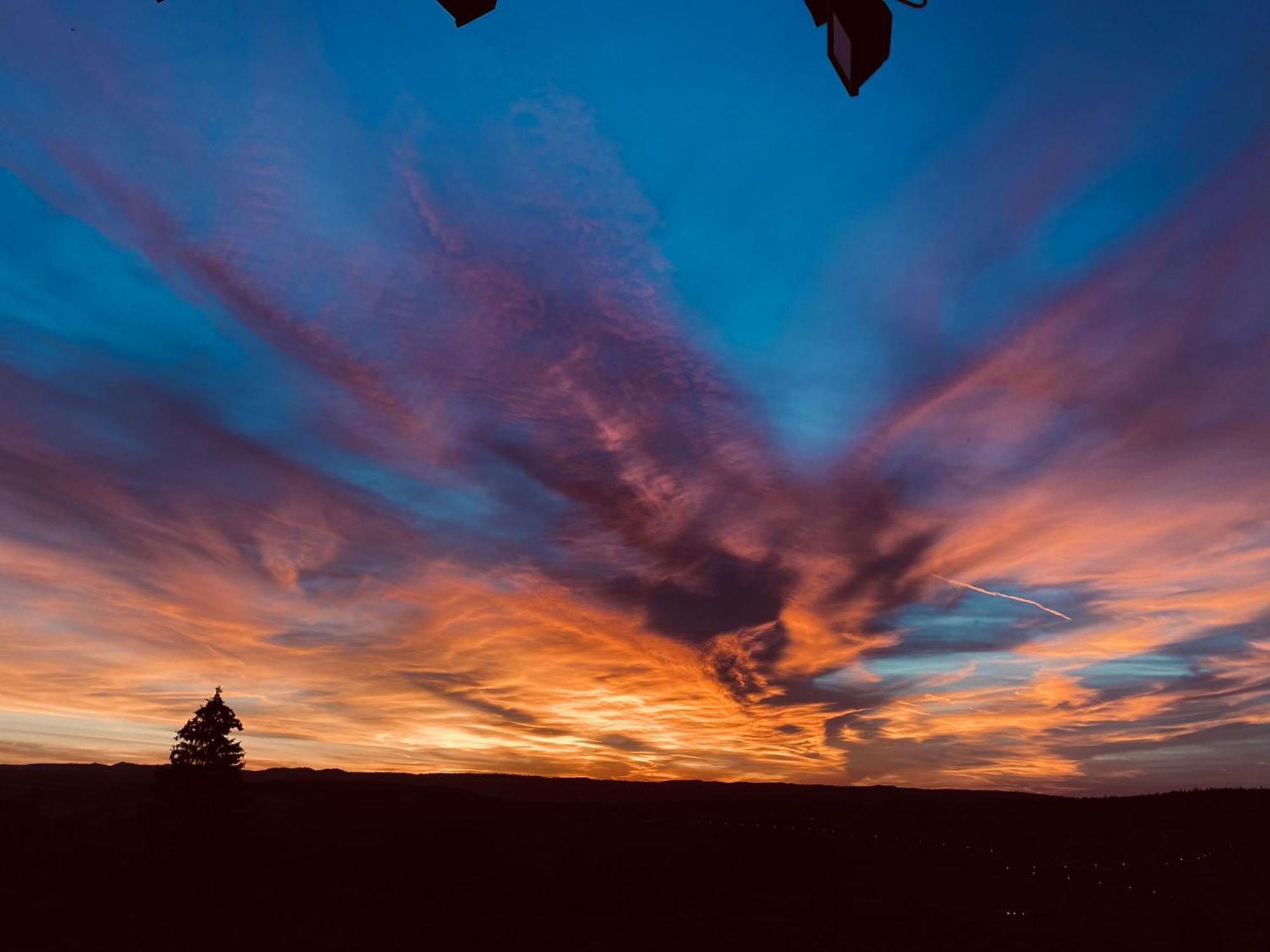 Un Havre De Quietude Au Coeur Des Montagnes Apartment Métabief